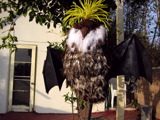 TalaThumb0005.jpg