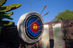 TalaThumb0022.jpg
