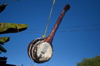 TalaThumb0024.jpg