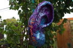 TalaThumb0036.jpg