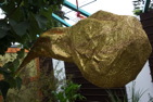 TalaThumb0037.jpg
