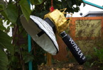 TalaThumb0038.jpg