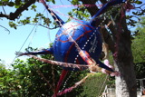 TalaThumb0042.jpg