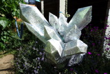 TalaThumb0043.jpg