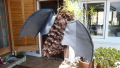 TalaThumb0002.jpg