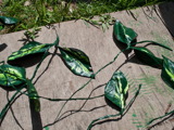 TalaThumb0002.jpg