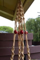 TalaThumb0012.jpg