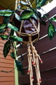 TalaThumb0014.jpg