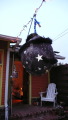 TalaThumb0001.jpg