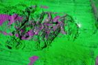TalaThumb0002.jpg