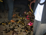 TalaThumb0005.jpg